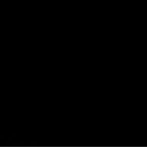 Meet your Posher, Shani